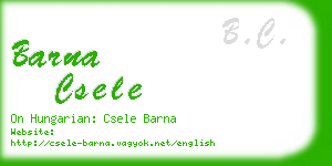 barna csele business card